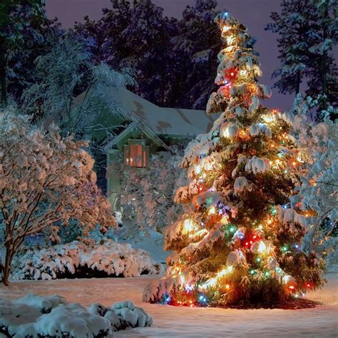 Christmas Background Photos, Download The BEST .
